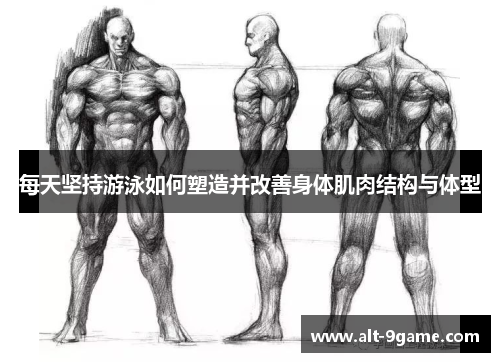 每天坚持游泳如何塑造并改善身体肌肉结构与体型