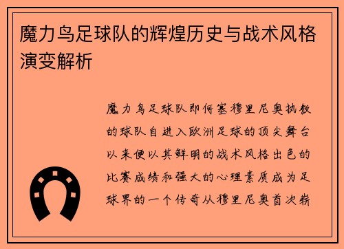 魔力鸟足球队的辉煌历史与战术风格演变解析